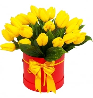 Golden. Options from 19 to 51 (19 stems)
