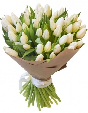 White Tulips - Bouquets from 11 to 101 (11 stems)