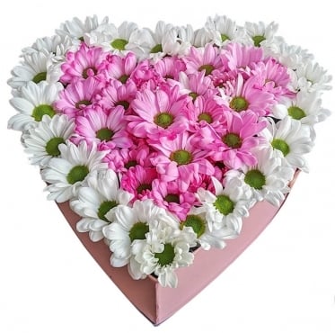 Kaleidoscope Roses (15 stems)