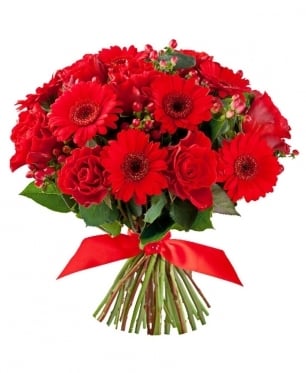 BLUSHING BEAUTY (Small)