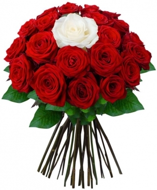 Red with White Classic, from 7 to 101 (7 stems)