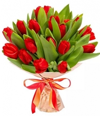 Red Tulips bouquet: from 11 to 101 (11 stems)