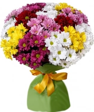 Fireworks (9 stems)