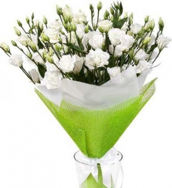 Eustoma - a Simple Luxury (Medium)
