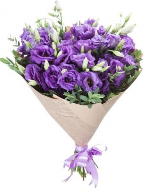 Eustoma - The Violet Luxury (9 stems)