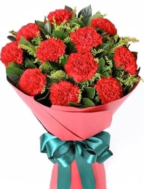 Red Carnations Magic (12 stems)