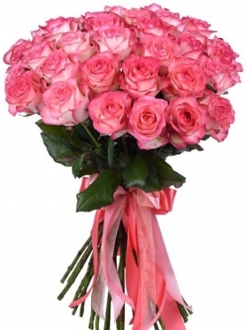 Jumilia Classic, 60-70Ñm, 7 to 101 (7 stems)