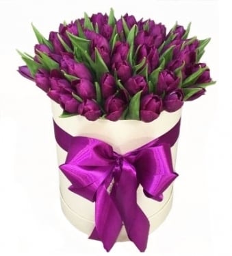 Purple-plum in a box (19 stems)