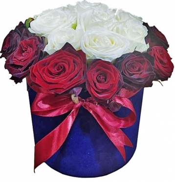 I WILL HUG YOU TENDERLY (25 stems)