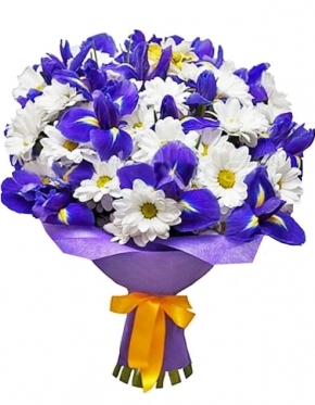 Camomiles in Blue (Small)