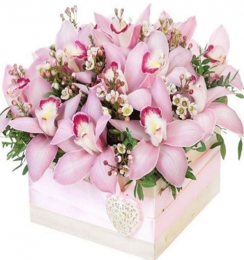 Delicate and Luxury, from 5 to 15 orchids (5 stems)