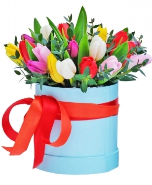 Multicolored Tilips Box (19 stems)