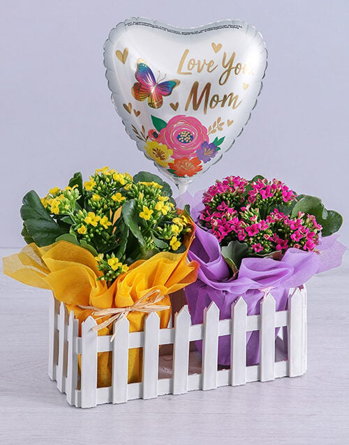 Pretty Pot Plants In Picket Fence
