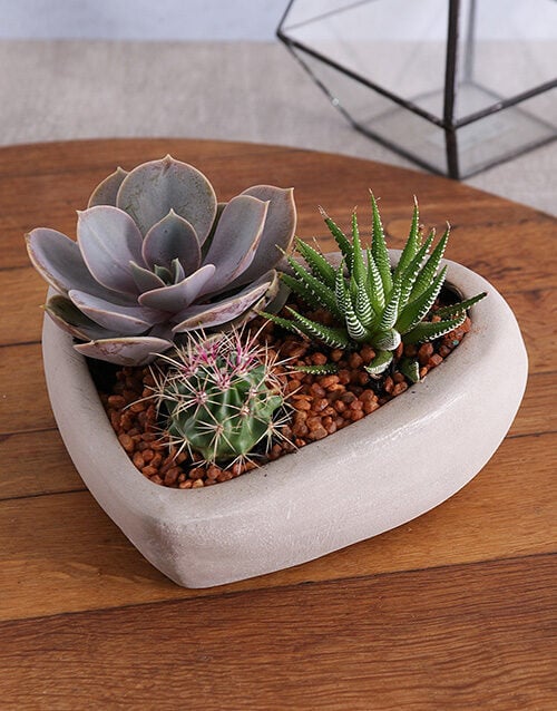Mothers Day Heart Terrarium