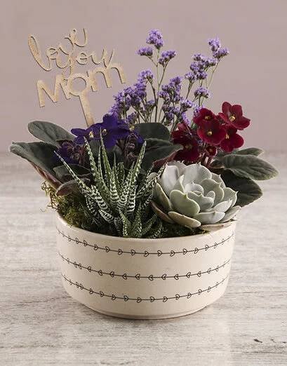 African Violet In Love Hearts Bowl