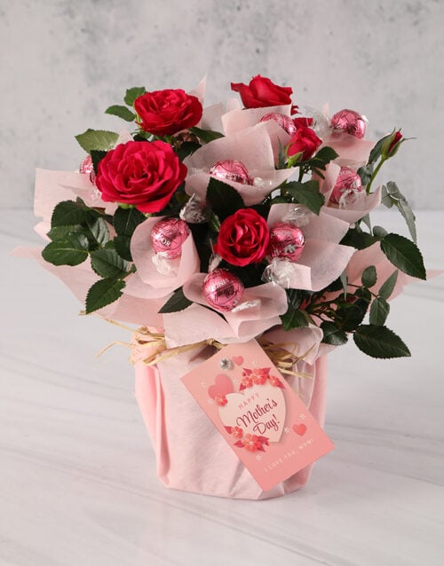 Sweet Red Rose Bush