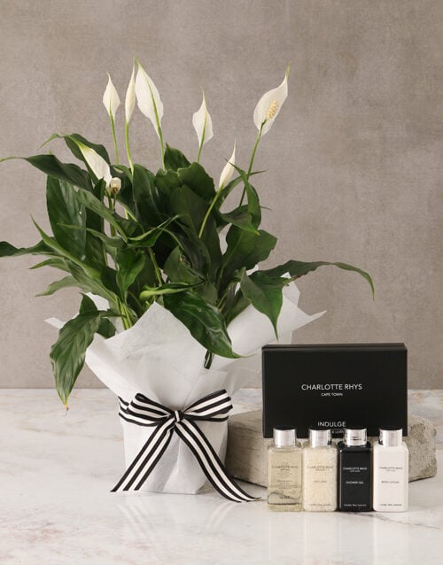 Peace Lily Bath & Body Hamper For Mum