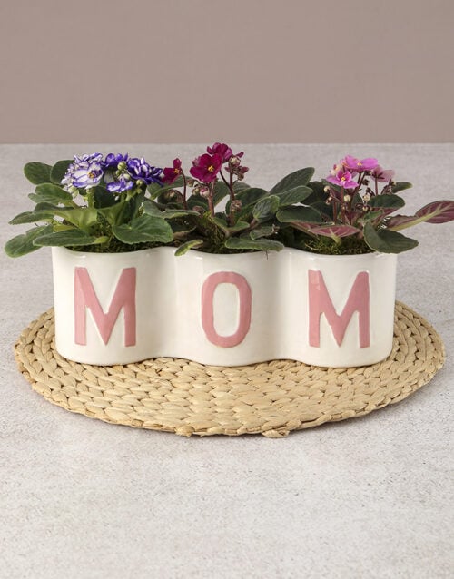 Mothers Day African Violet Surprise