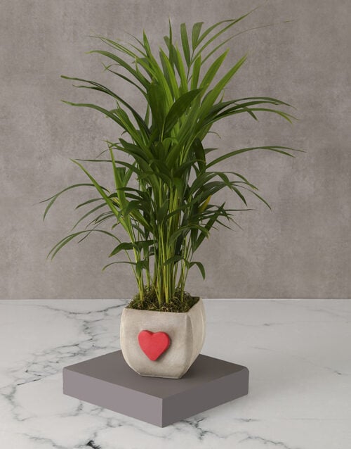 Heartfelt Bamboo Pot For Mom