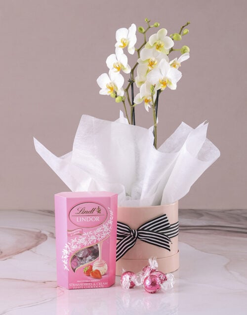 Lovely Mothers Day Orchid Combo