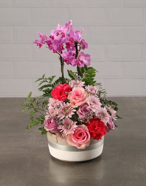 Opulent Orchids In A Bed Of Flowers