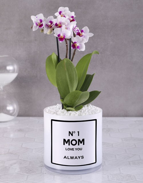 Best Mom Brilliant Orchids