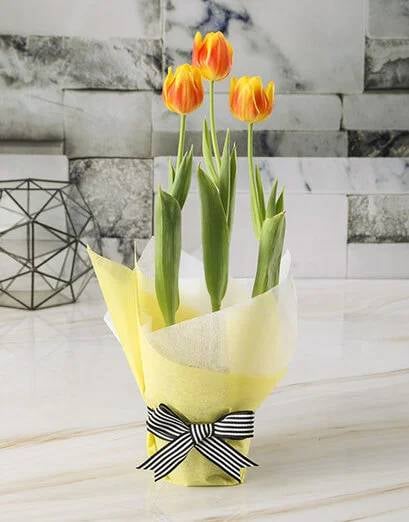 Sunburst Tulip Pot Plant Surprise