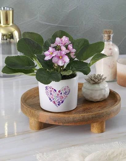 I Heart African Violets