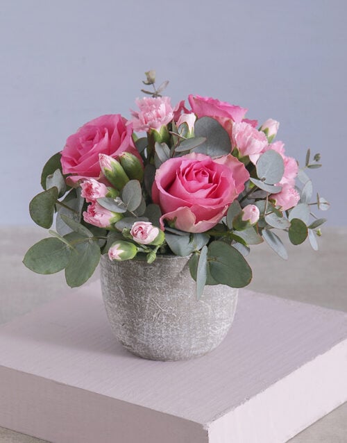 Pink Floral Fusion In A Cement Pot