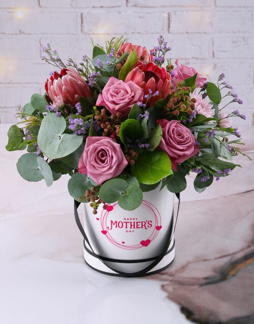 Pretty And Rosy Proteas