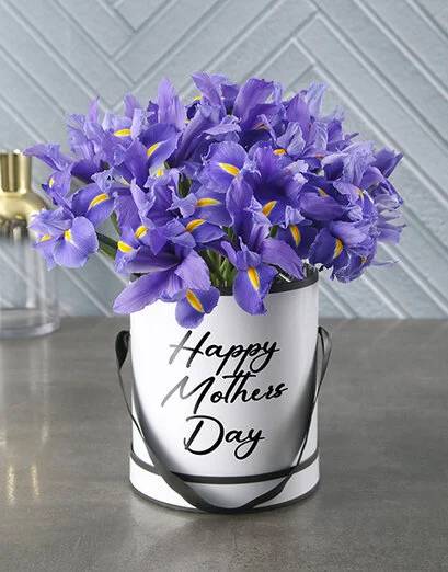 Majestic Irises For Mom