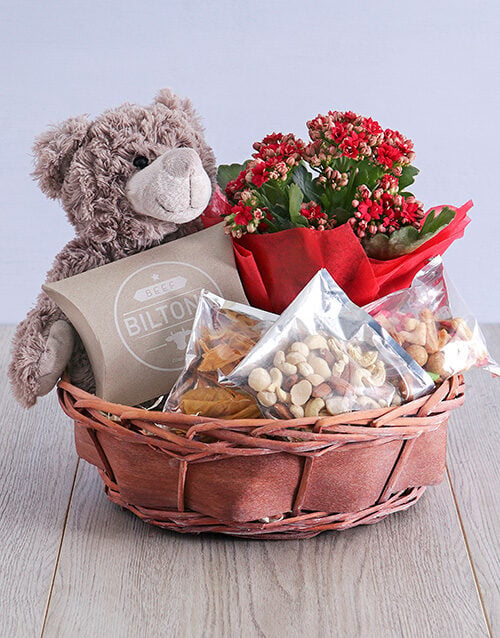 Enchanting Kalanchoe Teddy in Willow Basket