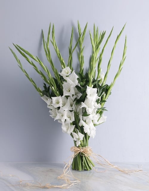 Gladiolus of Love Bouquet (Small)