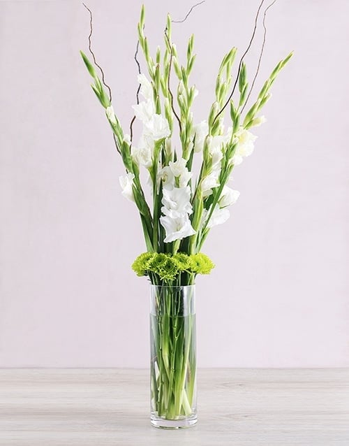 White Gladiolus Vase