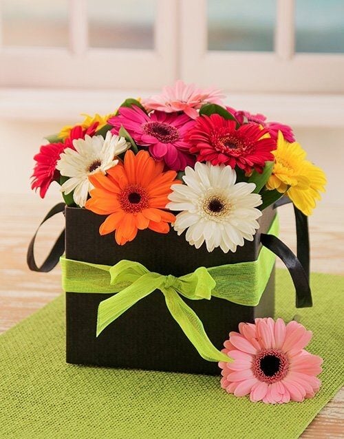 Mini Gerberas In A Box
