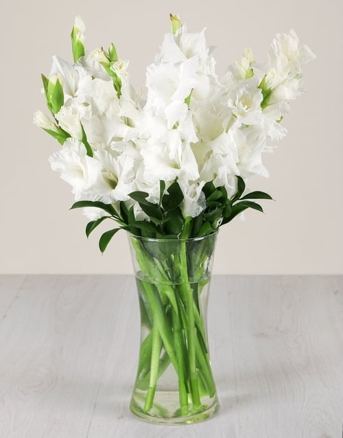 White Gladiolus in a Glass Vase (Small)