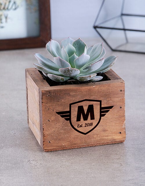 Personalised Succulent In Mini Crate
