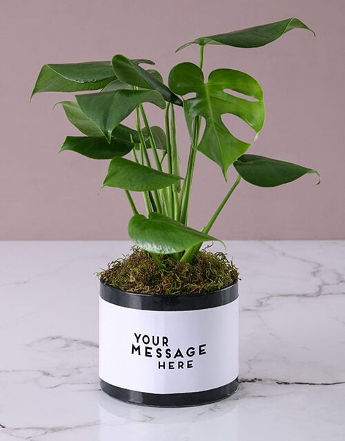Personalised Monster Leaf in Black Box (Standard)