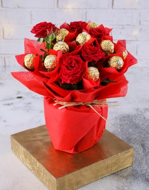 Red Rose Bush And Ferrero Rocher Treats (Standard)