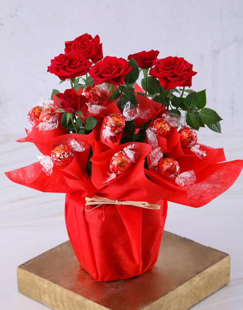 Red Rose Bush And Chocolates (Standard)