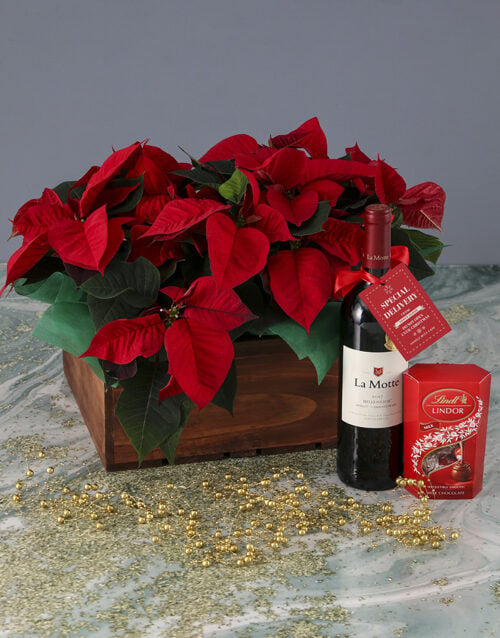 Special Delivery Poinsettia Hamper
