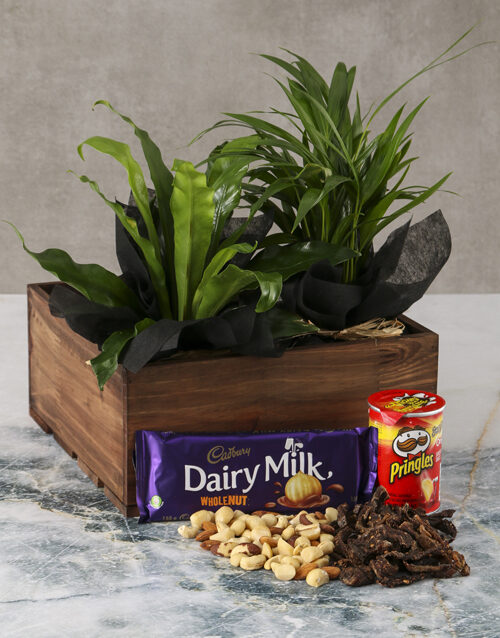 Asplenium Snack Love Crate