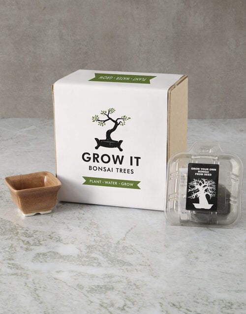 Growing Your Own Bonsai Box