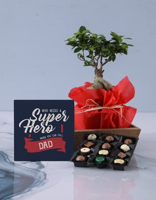 Super Hero Dad Bonsai Plant
