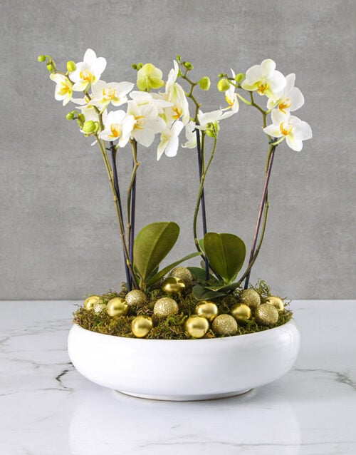 White Orchids With Gold Accents