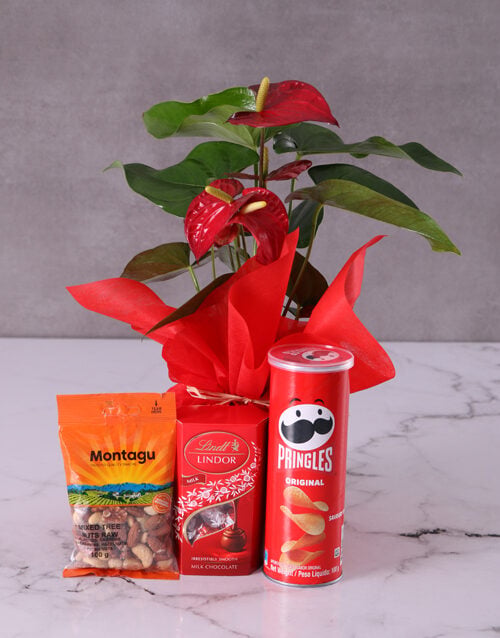 Lily Blooms With Chocolates