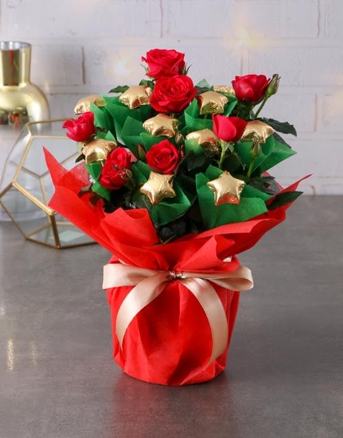 Golden Bloom Rose Surprise