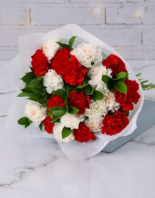 Striking Red and White Carnations (Standard)