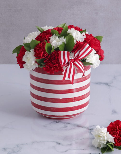 Red and White Carnations in a Stripy Pot