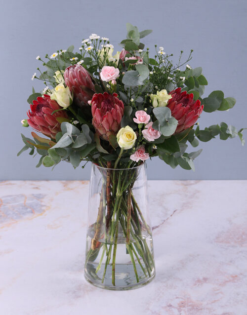 Always Elegant Proteas (Teddy)